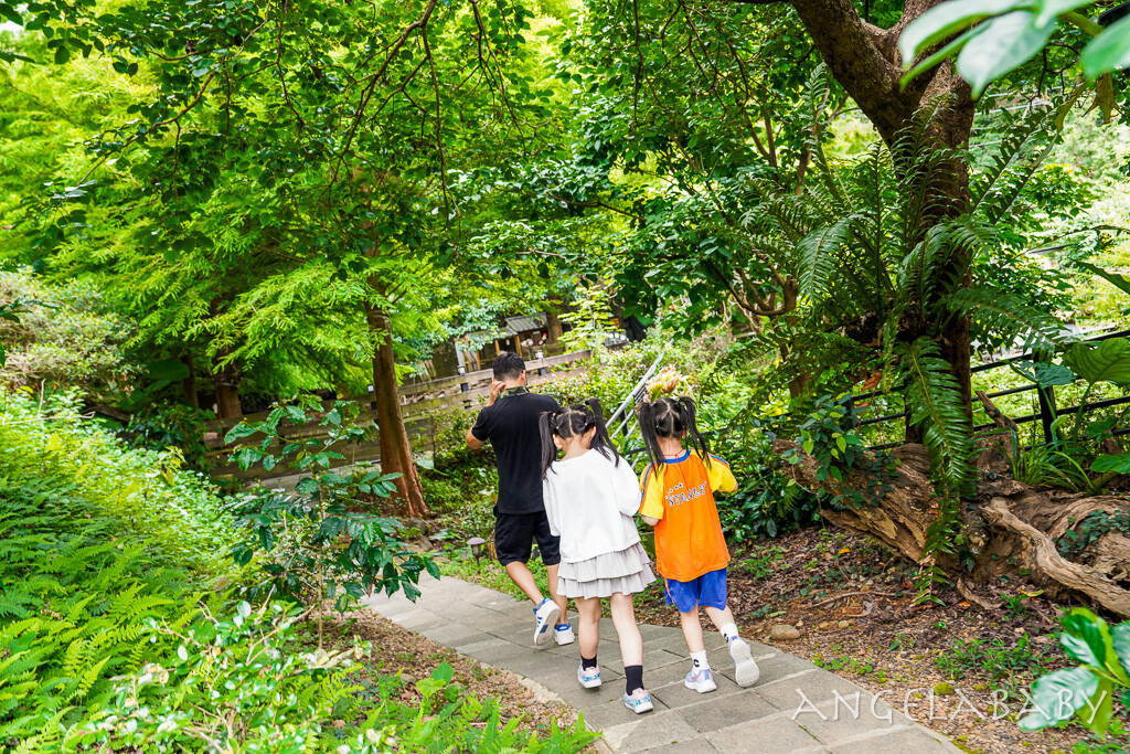 桃園復興鄉景觀咖啡『丸山咖啡』眺望雲海的約會餐廳、丸山咖啡菜單、免費停車場咖啡 @梅格(Angelababy)享樂日記