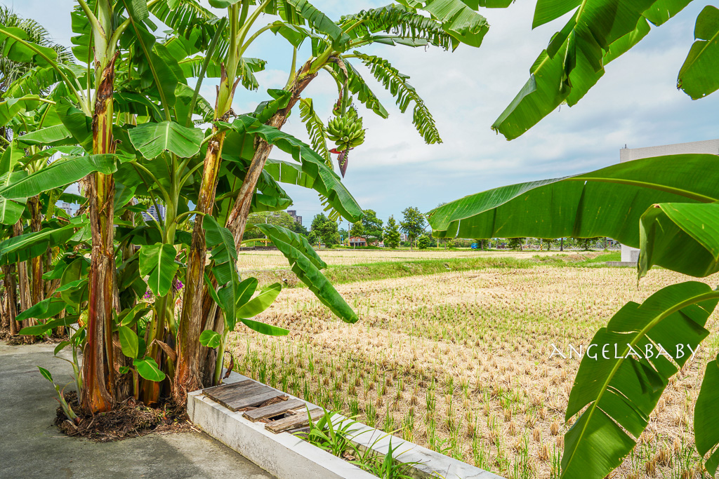 宜蘭礁溪純白希臘風咖啡廳『蒔花 DailyBlossom Cafe & More』菜單、田野間的質感咖啡、提供免費停車 @梅格(Angelababy)享樂日記