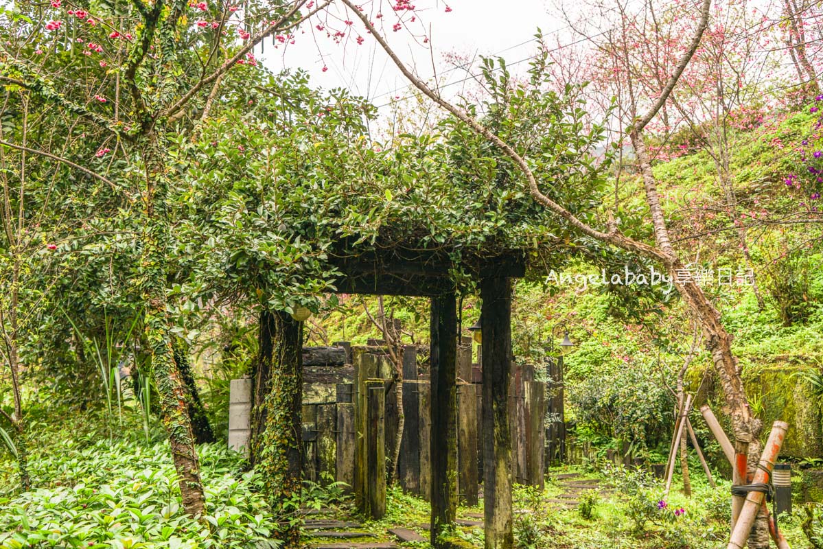 三峽景觀餐廳『花岩山林景觀餐廳』台北賞櫻秘境 @梅格(Angelababy)享樂日記