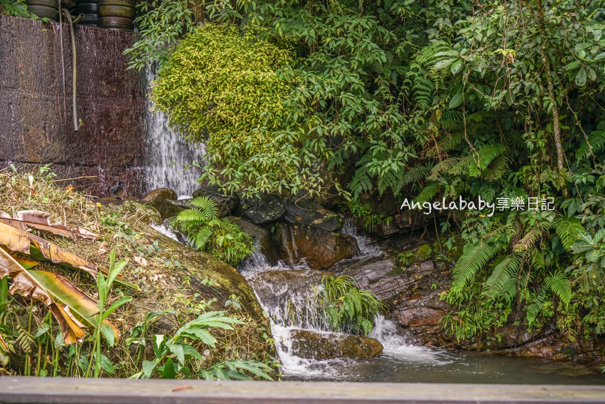 三峽景觀餐廳『花岩山林景觀餐廳』台北賞櫻秘境 @梅格(Angelababy)享樂日記