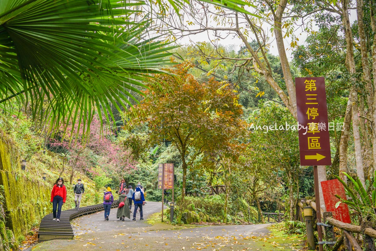 三峽景觀餐廳『花岩山林景觀餐廳』台北賞櫻秘境 @梅格(Angelababy)享樂日記