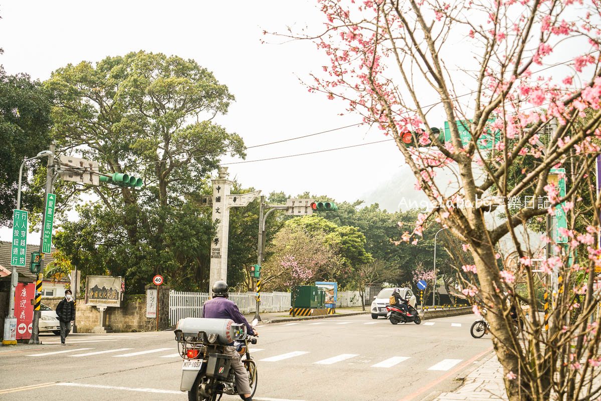 陽明山咖啡｜日式老宅改建的景觀咖啡『CAMA COFFEE ROASTERS 豆留森林』季節限定草莓生乳捲、帽子拿鐵、好吃布丁 @梅格(Angelababy)享樂日記