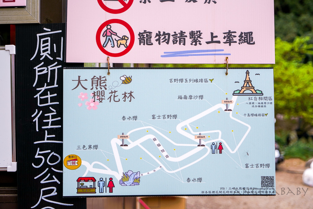 新北賞櫻景點推薦『大熊櫻花林』三峽景點、三峽賞櫻、4000棵以上櫻花美景、友善寵物園區 @梅格(Angelababy)享樂日記