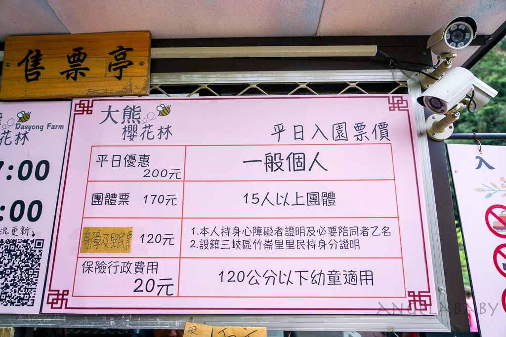 新北賞櫻景點推薦『大熊櫻花林』三峽景點、三峽賞櫻、4000棵以上櫻花美景、友善寵物園區 @梅格(Angelababy)享樂日記
