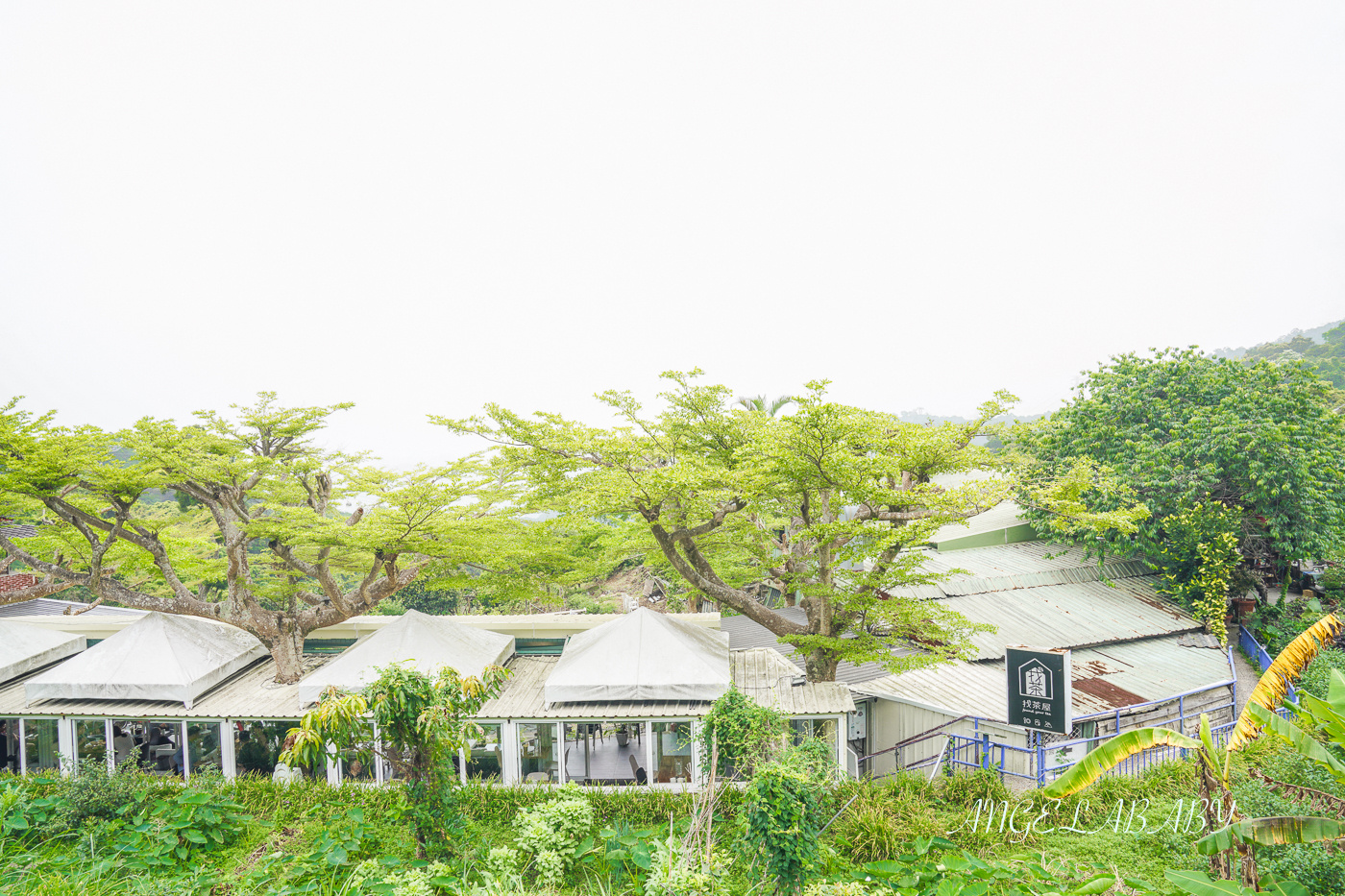 台北景觀餐廳｜貓空景觀餐廳推薦『貓空找茶屋found your tea』菜單、寵物友善餐廳 @梅格(Angelababy)享樂日記