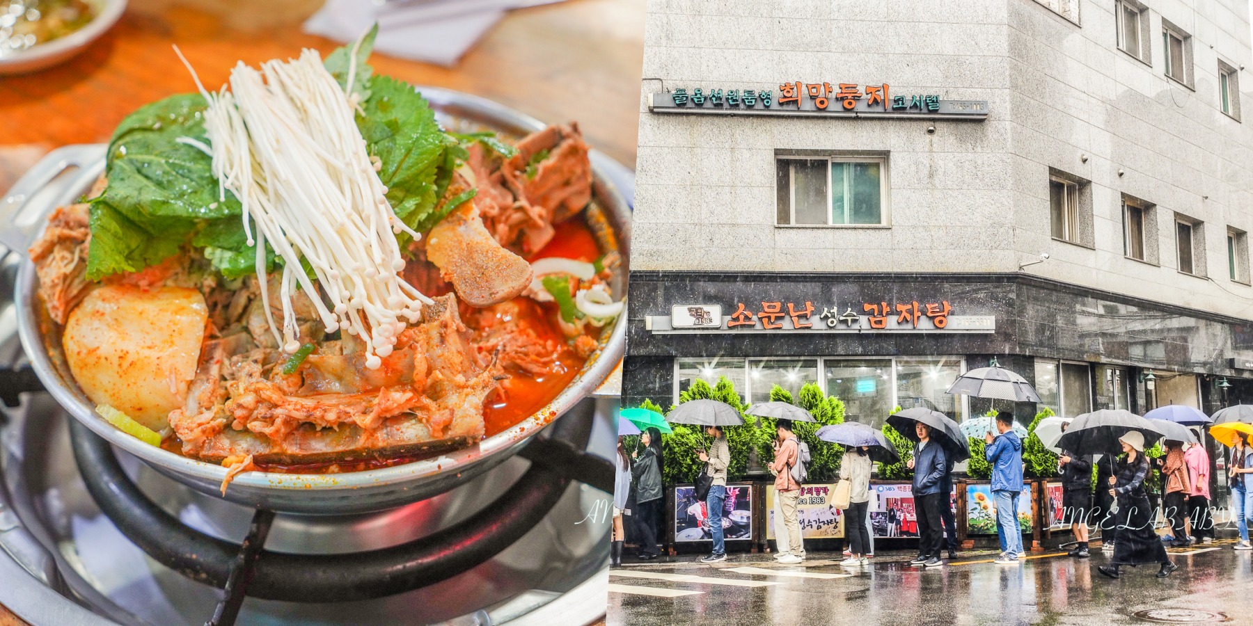 越南會安美食｜最受歡迎的餐館『Miss Ly』招牌：白玫瑰、炸雲吞、高樓麵 @梅格(Angelababy)享樂日記