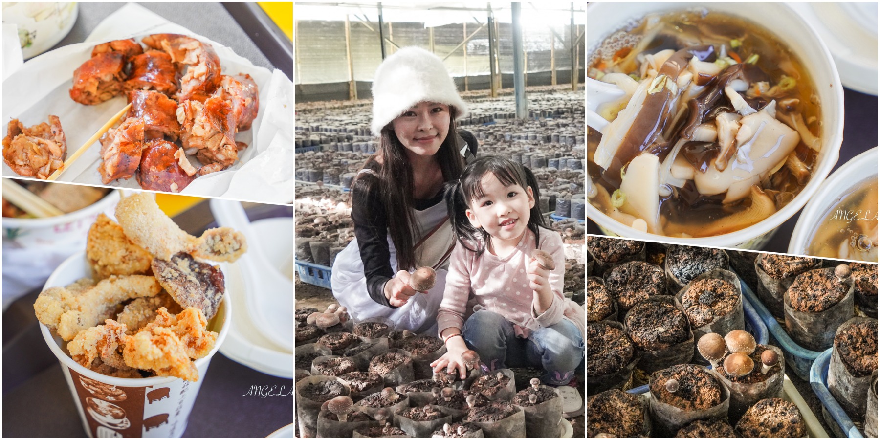 白冷冰棒｜台中谷關必吃美食『大甲溪發電廠白冷冰棒』口味價格、宅配訂購方式 @梅格(Angelababy)享樂日記