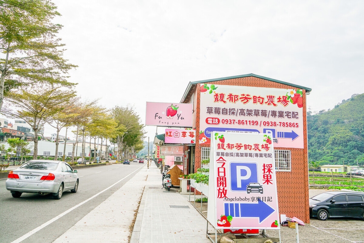苗栗大湖採草莓推薦『馥郁芳昀農場』白草莓、紅草莓都有的草莓園！苗栗宅配草莓 @梅格(Angelababy)享樂日記