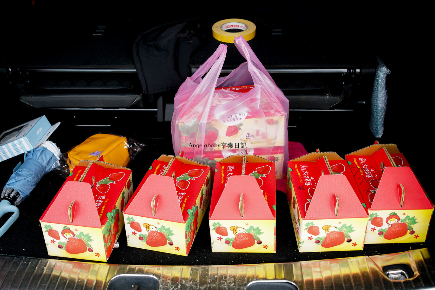苗栗大湖採草莓推薦『馥郁芳昀農場』白草莓、紅草莓都有的草莓園！苗栗宅配草莓 @梅格(Angelababy)享樂日記