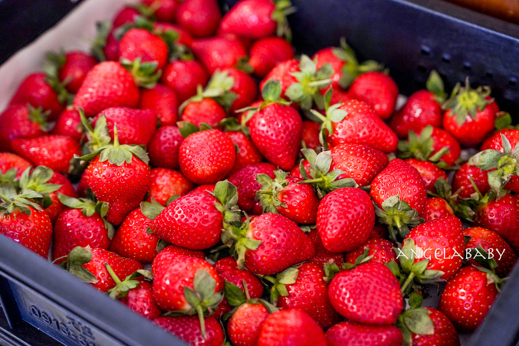 六張犁站甜點『午冬甜點』｜台北人氣千層蛋糕、午冬甜點價格、台北外帶甜點推薦 @梅格(Angelababy)享樂日記