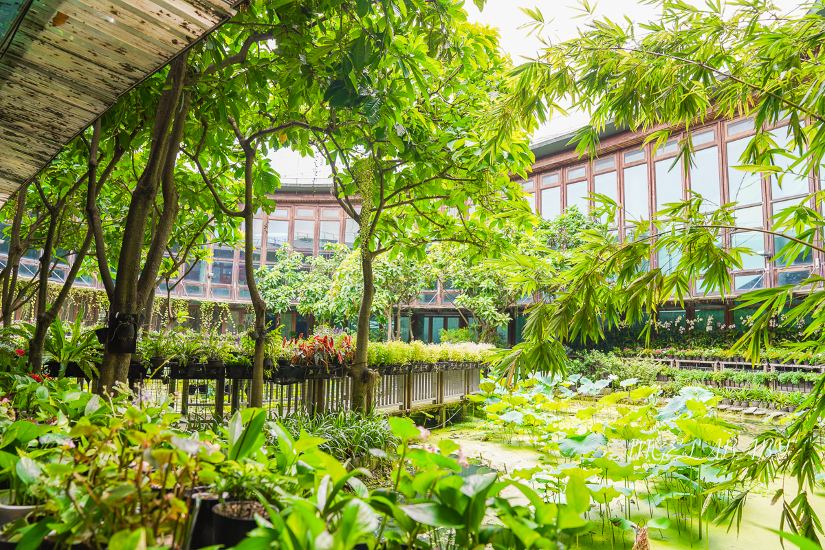 台北玻璃屋咖啡『天使生活館』花博公園新生園區隱藏版室內花屋 @梅格(Angelababy)享樂日記