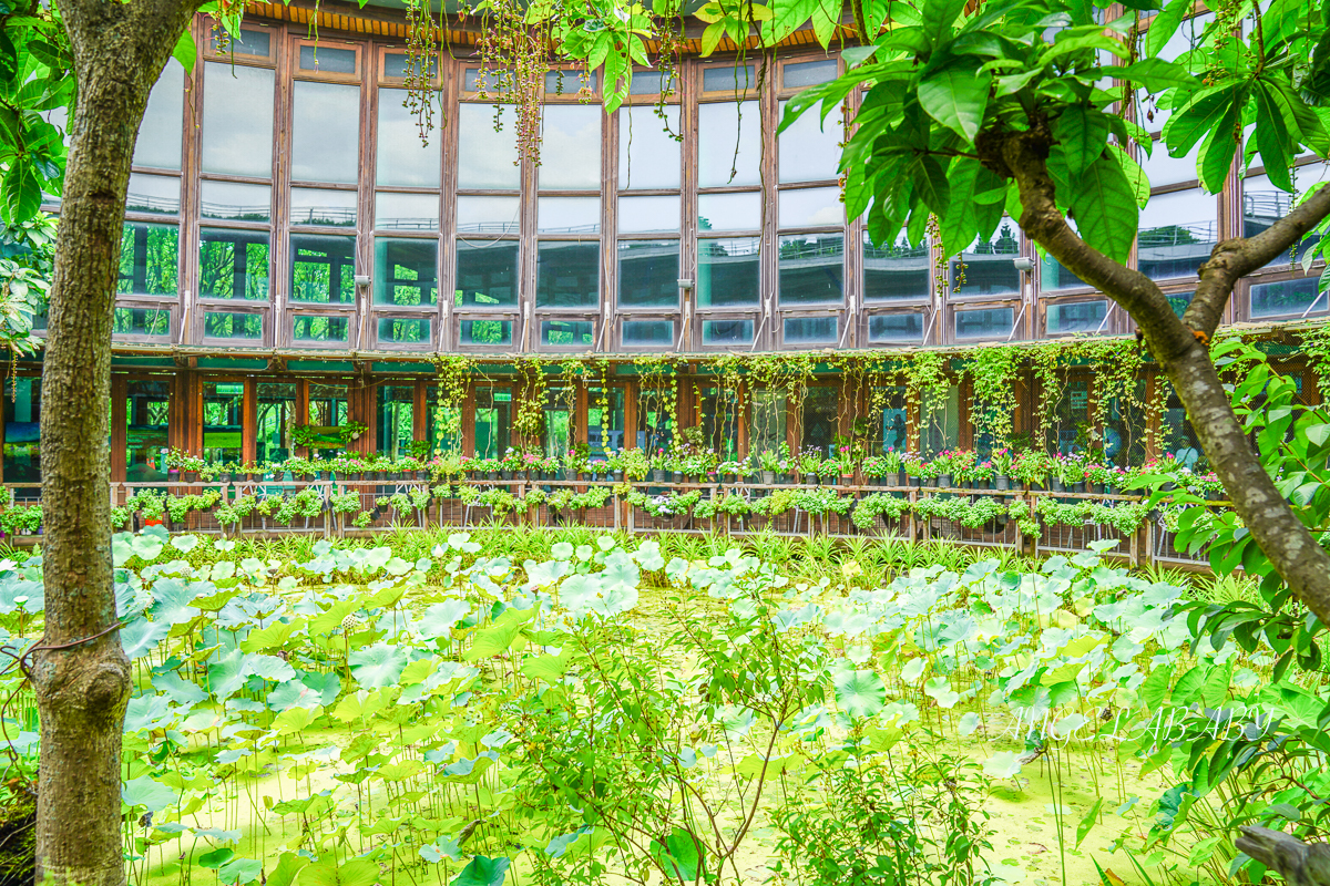 台北玻璃屋咖啡『天使生活館』花博公園新生園區隱藏版室內花屋 @梅格(Angelababy)享樂日記