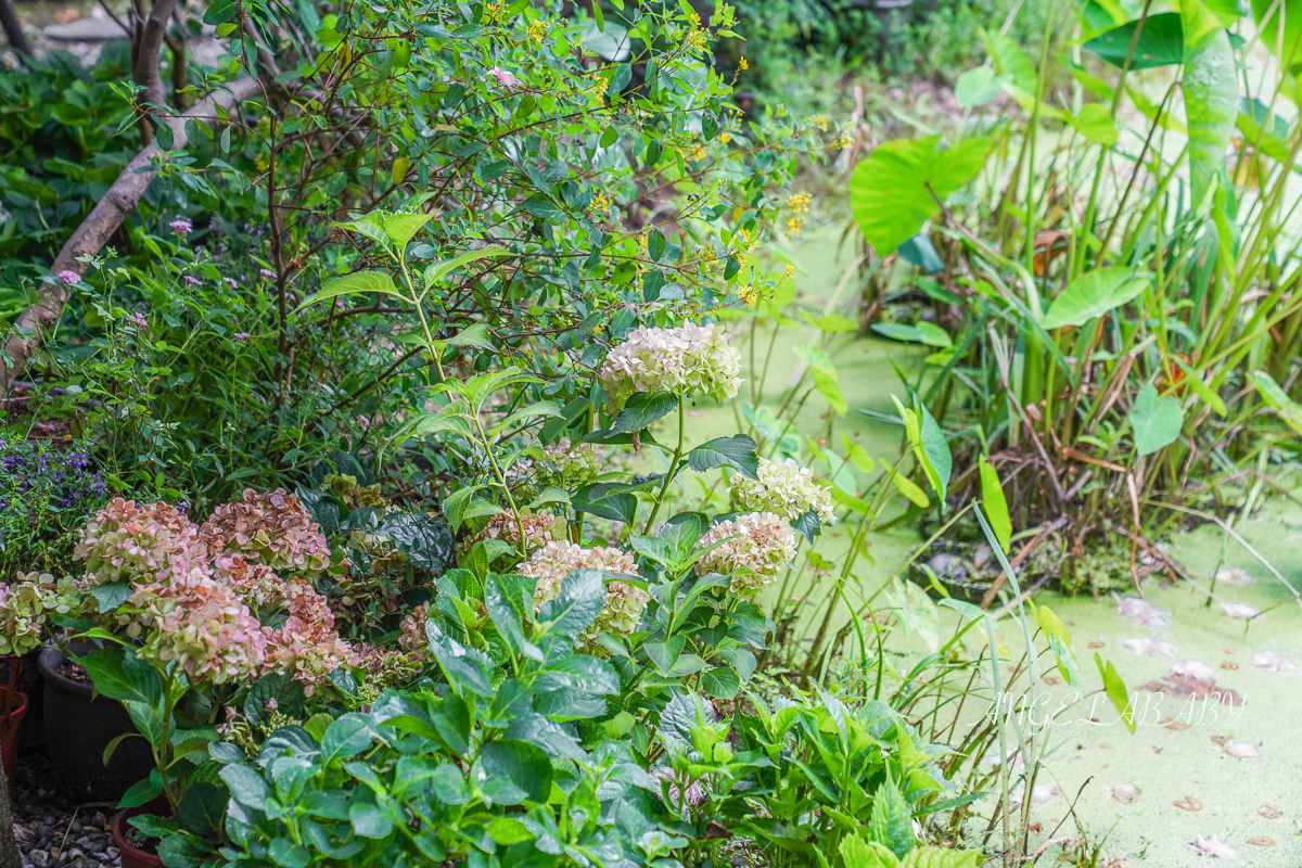 台北玻璃屋咖啡『天使生活館』花博公園新生園區隱藏版室內花屋 @梅格(Angelababy)享樂日記