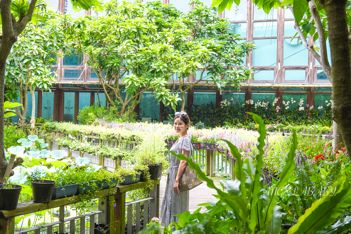 台北玻璃屋咖啡『天使生活館』花博公園新生園區隱藏版室內花屋 @梅格(Angelababy)享樂日記