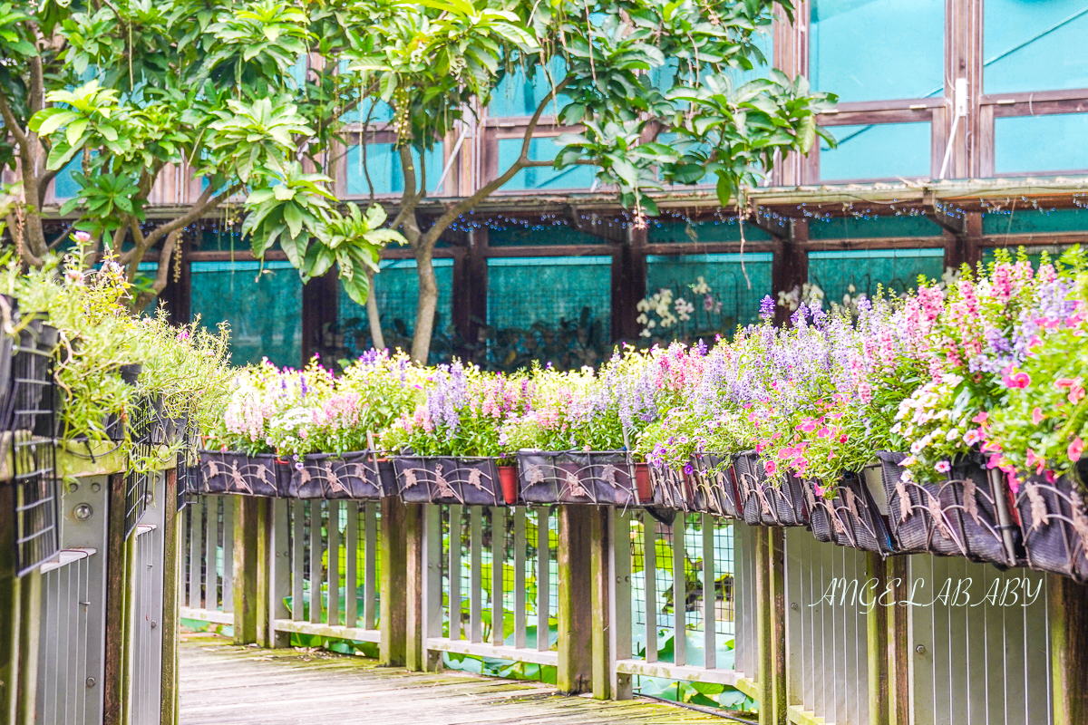 台北玻璃屋咖啡『天使生活館』花博公園新生園區隱藏版室內花屋 @梅格(Angelababy)享樂日記