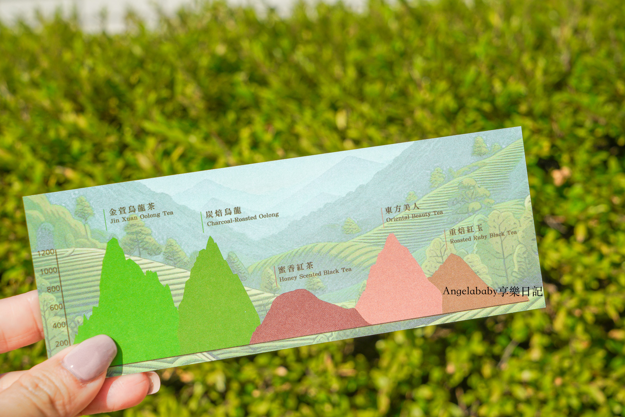 南港車站必吃甜點、伴手禮『貓茶町Global Mall 南港車站快閃櫃』草莓季草莓蛋糕、草莓千層、草莓大福、茶餅乾禮盒『饗茶雲霄』 @梅格(Angelababy)享樂日記
