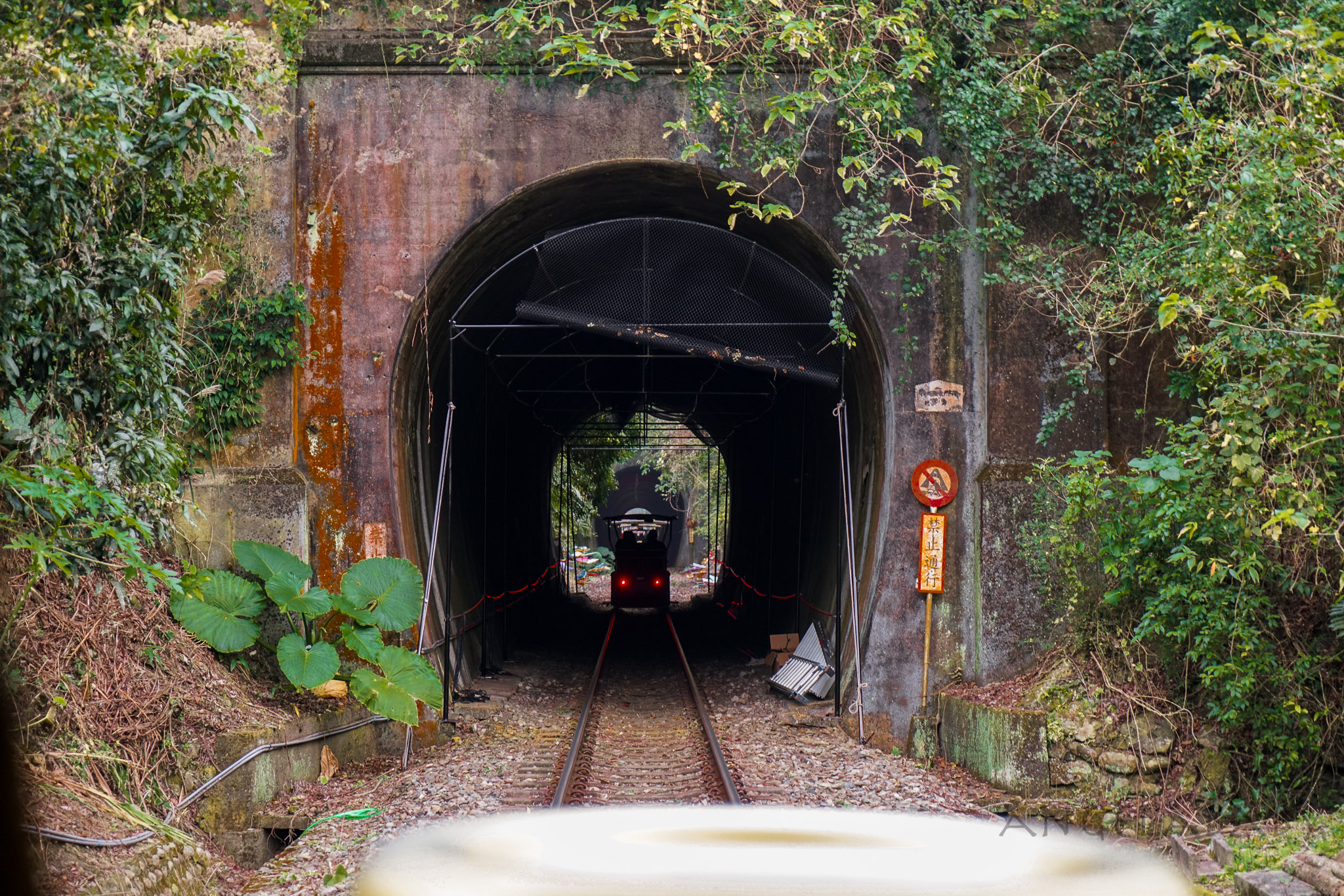 苗栗景點｜龍騰斷橋『舊山線鐵道自行車』好玩嘛？訂票資訊、價格、優惠票辦法 @梅格(Angelababy)享樂日記