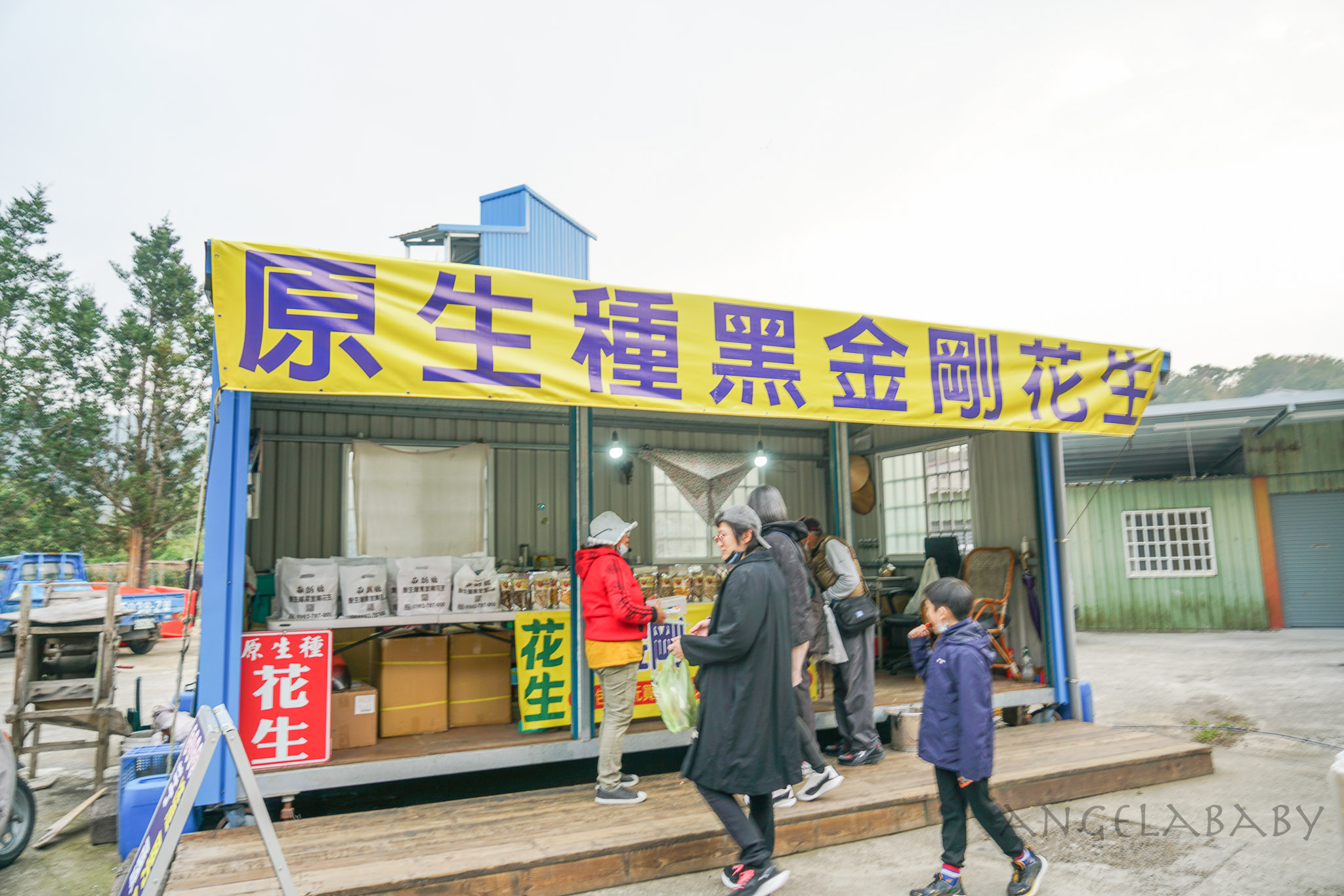 苗栗景點｜龍騰斷橋『舊山線鐵道自行車』好玩嘛？訂票資訊、價格、優惠票辦法 @梅格(Angelababy)享樂日記