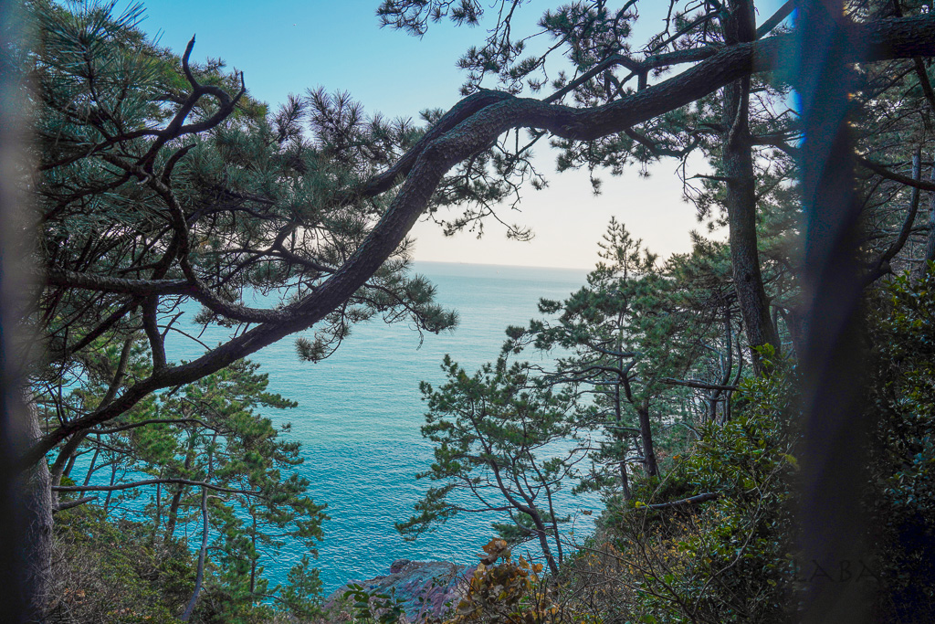 釜山推薦 韓國最長跨海纜車『松島海上纜車』360度環景水晶車廂、龍宮雲橋、釜山行程推薦 @梅格(Angelababy)享樂日記
