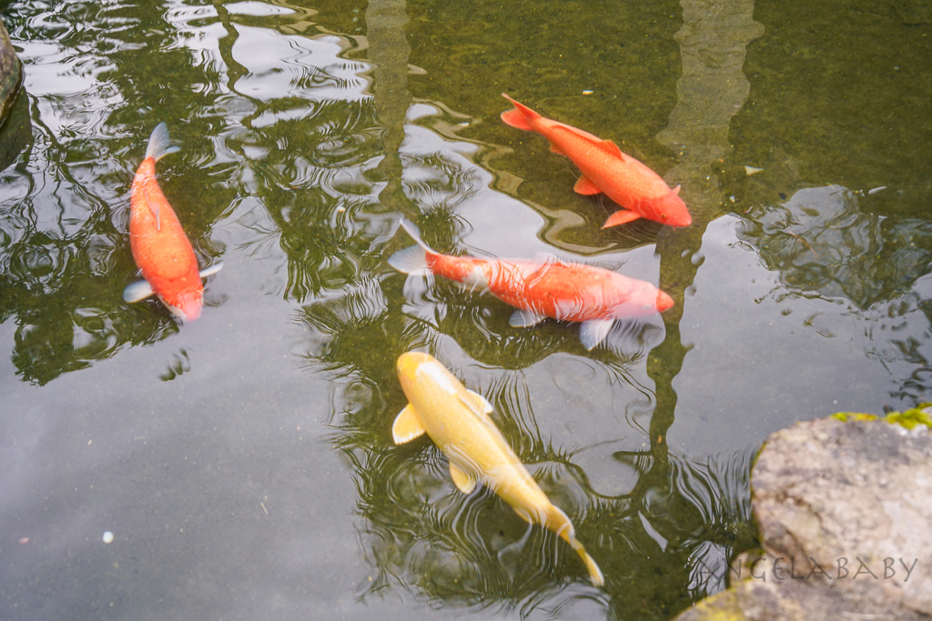 宜蘭一日遊『鳳梨屋水上莊園』露營、villa住宿推薦（瀨溪、築夢開箱）、訂房優惠、門票優惠 @梅格(Angelababy)享樂日記