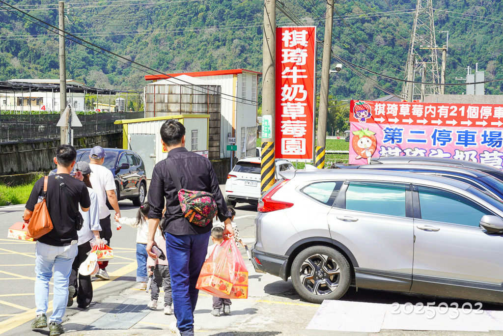 大湖採草莓『棋琦牛奶草莓園』超大顆香甜美肌草莓、免費停車場、土耕草莓、高架草莓 @梅格(Angelababy)享樂日記