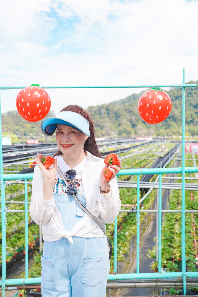大湖採草莓『棋琦牛奶草莓園』超大顆香甜美肌草莓、免費停車場、土耕草莓、高架草莓 @梅格(Angelababy)享樂日記
