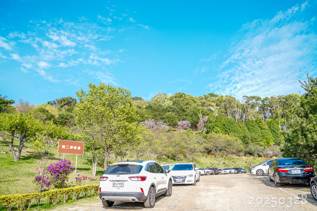 苗栗景點｜賞櫻推薦【蓮臺山妙音淨苑】免門票、還有停車場的櫻花秘境 @梅格(Angelababy)享樂日記