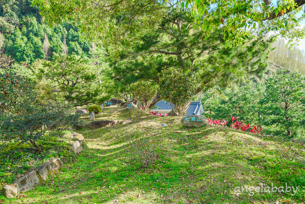 苗栗景點｜賞櫻推薦【蓮臺山妙音淨苑】免門票、還有停車場的櫻花秘境 @梅格(Angelababy)享樂日記