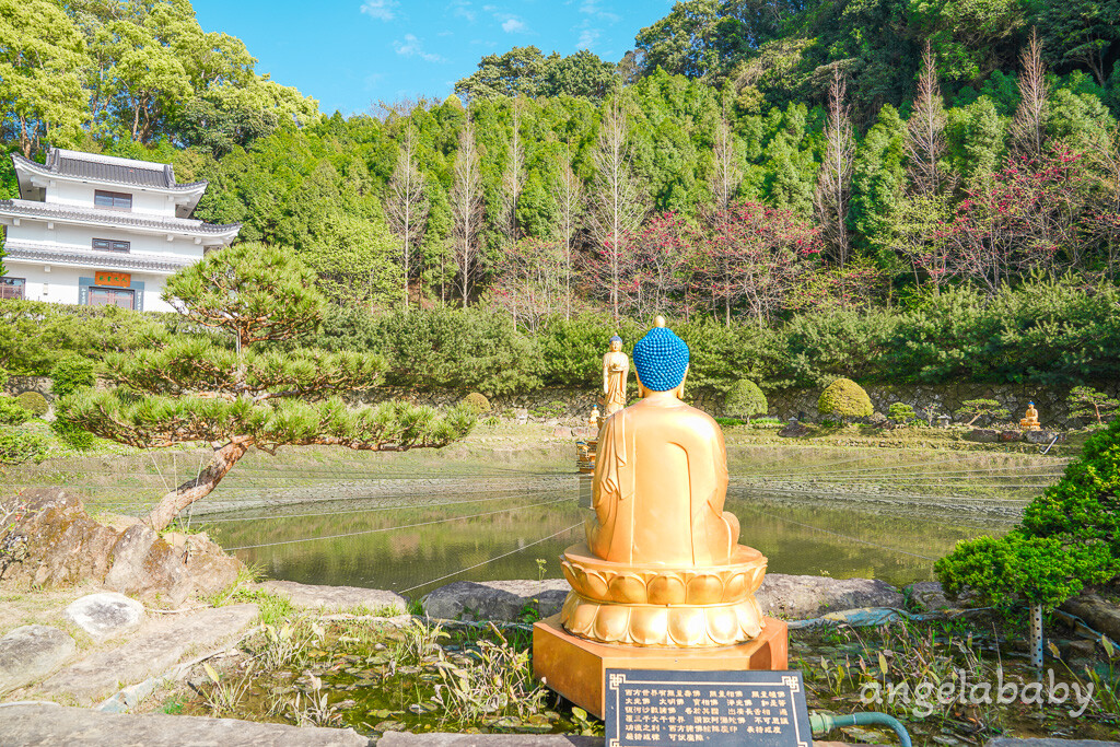 苗栗景點｜賞櫻推薦【蓮臺山妙音淨苑】免門票、還有停車場的櫻花秘境 @梅格(Angelababy)享樂日記