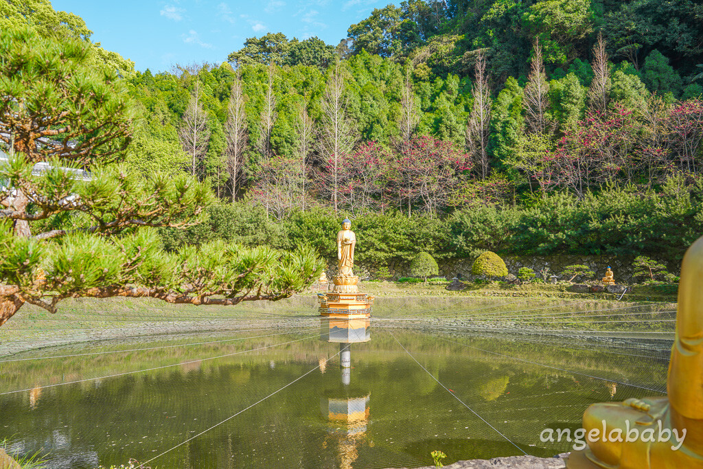 苗栗景點｜賞櫻推薦【蓮臺山妙音淨苑】免門票、還有停車場的櫻花秘境 @梅格(Angelababy)享樂日記