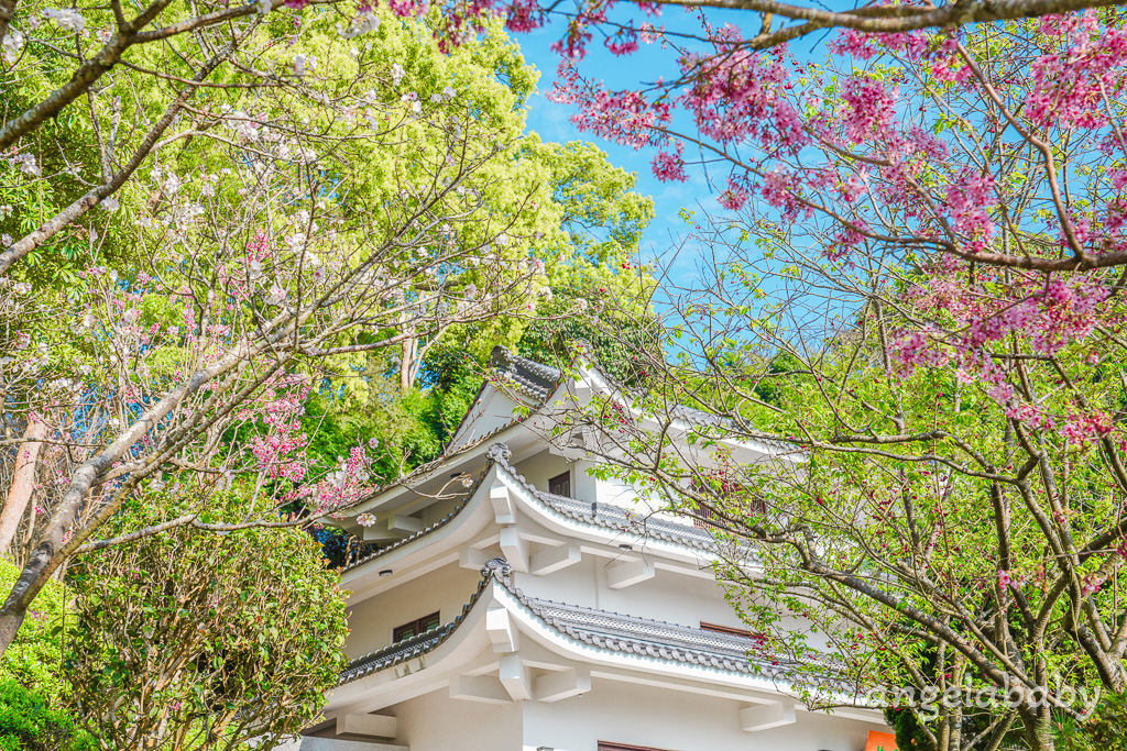 苗栗景點｜賞櫻推薦【蓮臺山妙音淨苑】免門票、還有停車場的櫻花秘境 @梅格(Angelababy)享樂日記