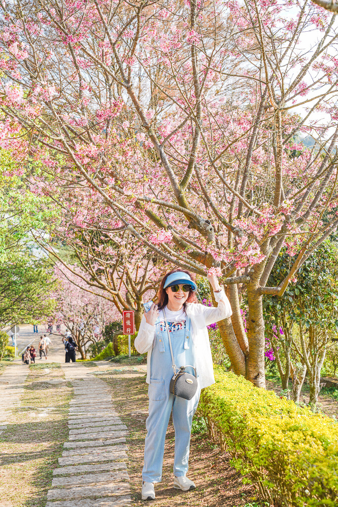 苗栗景點｜賞櫻推薦【蓮臺山妙音淨苑】免門票、還有停車場的櫻花秘境 @梅格(Angelababy)享樂日記
