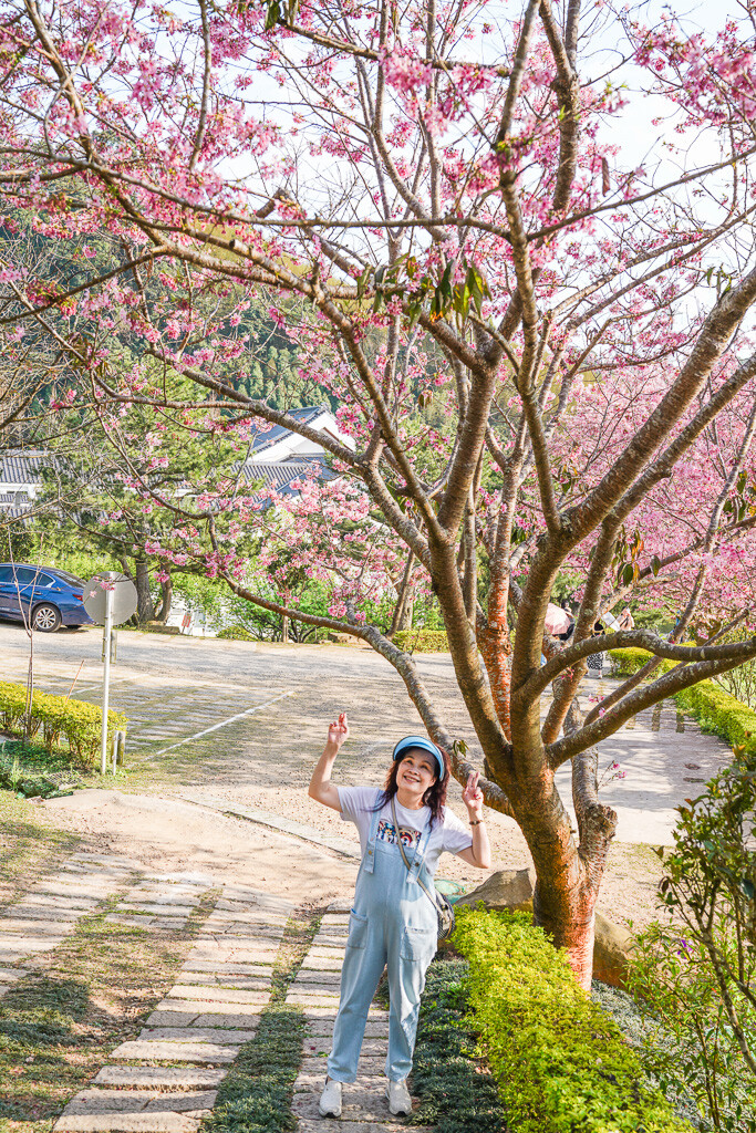 苗栗景點｜賞櫻推薦【蓮臺山妙音淨苑】免門票、還有停車場的櫻花秘境 @梅格(Angelababy)享樂日記
