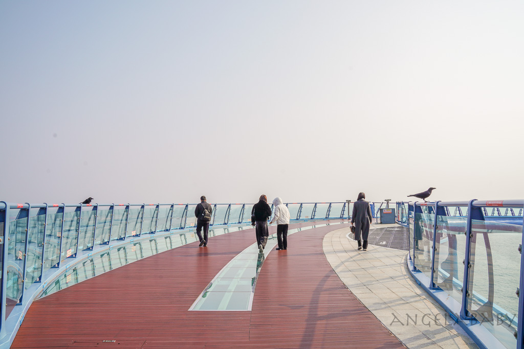 釜山景點｜海雲台藍線公園海岸列車・天空膠囊列車票購買、免費天空步道 @梅格(Angelababy)享樂日記