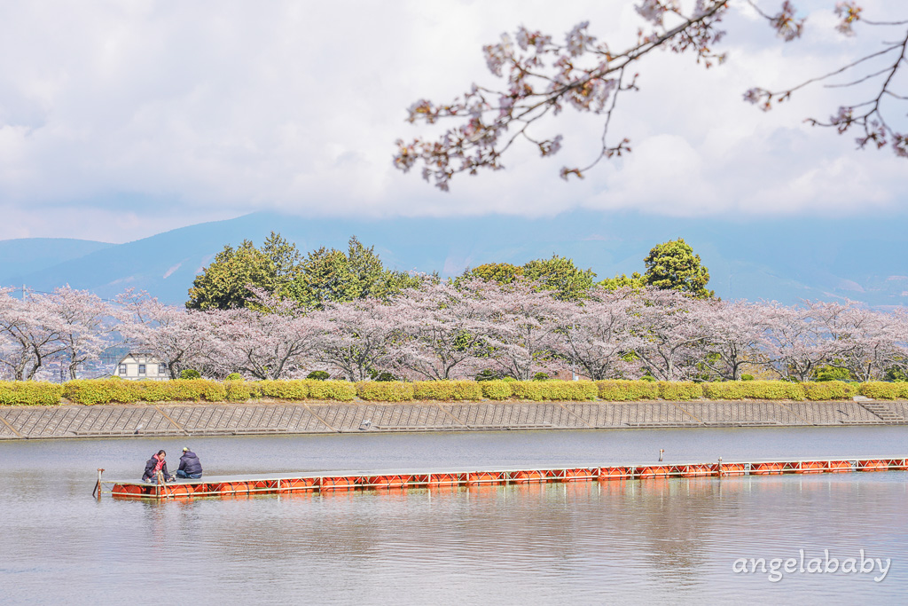 東京賞櫻秘境『東山湖』JR御殿場站景點、拍攝富士山倒影、秋季賞楓、可預約釣魚 @梅格(Angelababy)享樂日記
