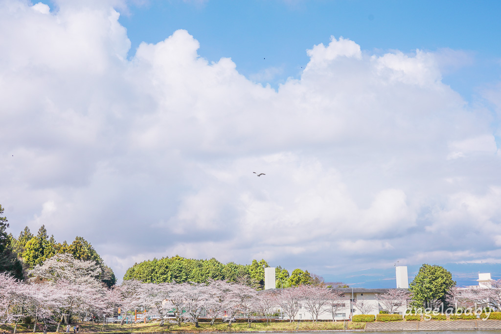東京賞櫻秘境『東山湖』JR御殿場站景點、拍攝富士山倒影、秋季賞楓、可預約釣魚 @梅格(Angelababy)享樂日記