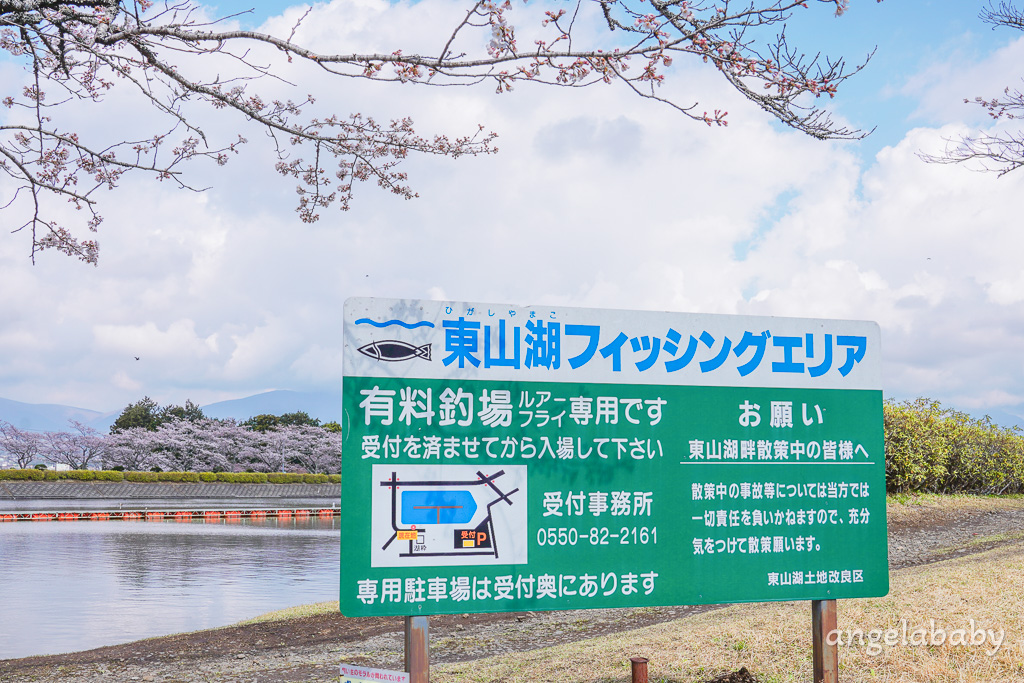東京賞櫻秘境『東山湖』JR御殿場站景點、拍攝富士山倒影、秋季賞楓、可預約釣魚 @梅格(Angelababy)享樂日記