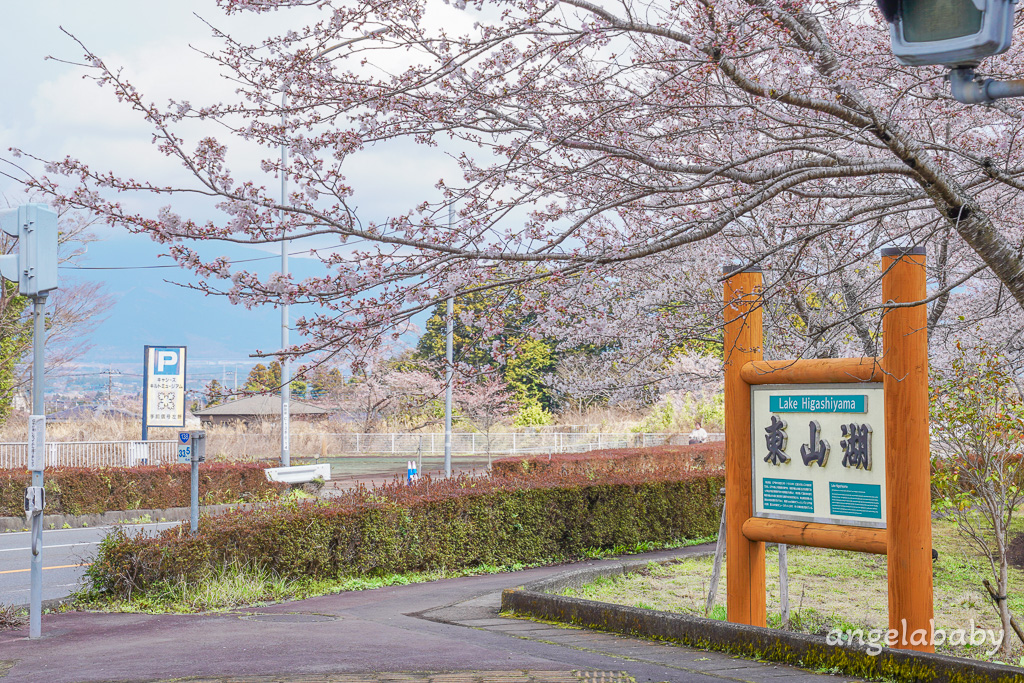 東京賞櫻秘境『東山湖』JR御殿場站景點、拍攝富士山倒影、秋季賞楓、可預約釣魚 @梅格(Angelababy)享樂日記