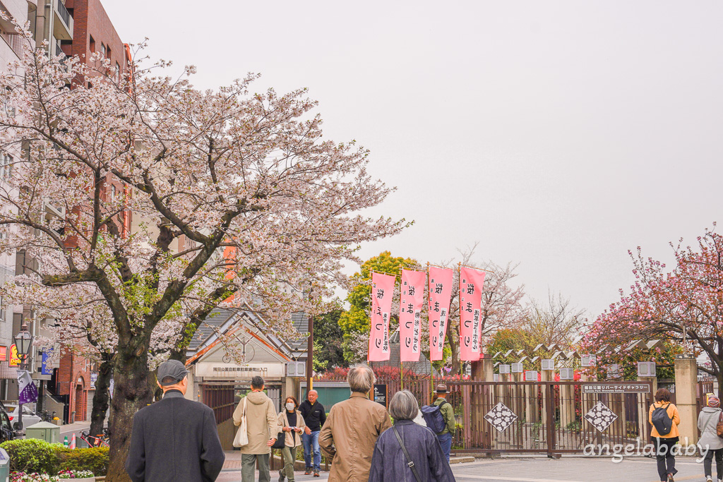 東京賞櫻『隅田公園』地鐵淺草站、隅田公園櫻花祭活動、拍攝晴空塔與櫻花的絕佳視角 @梅格(Angelababy)享樂日記