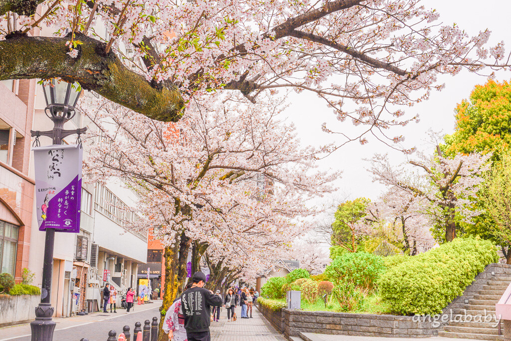 東京賞櫻『隅田公園』地鐵淺草站、隅田公園櫻花祭活動、拍攝晴空塔與櫻花的絕佳視角 @梅格(Angelababy)享樂日記