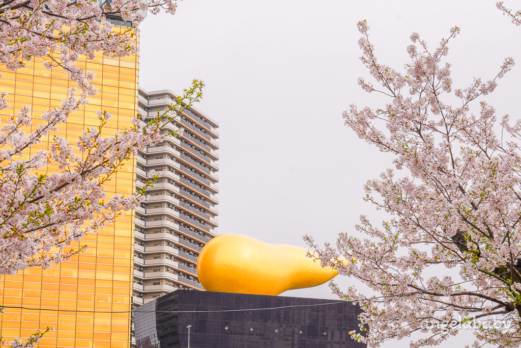 東京賞櫻『隅田公園』地鐵淺草站、隅田公園櫻花祭活動、拍攝晴空塔與櫻花的絕佳視角 @梅格(Angelababy)享樂日記