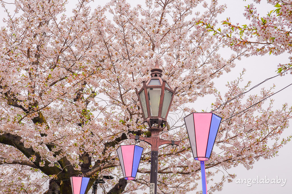 東京賞櫻『隅田公園』地鐵淺草站、隅田公園櫻花祭活動、拍攝晴空塔與櫻花的絕佳視角 @梅格(Angelababy)享樂日記