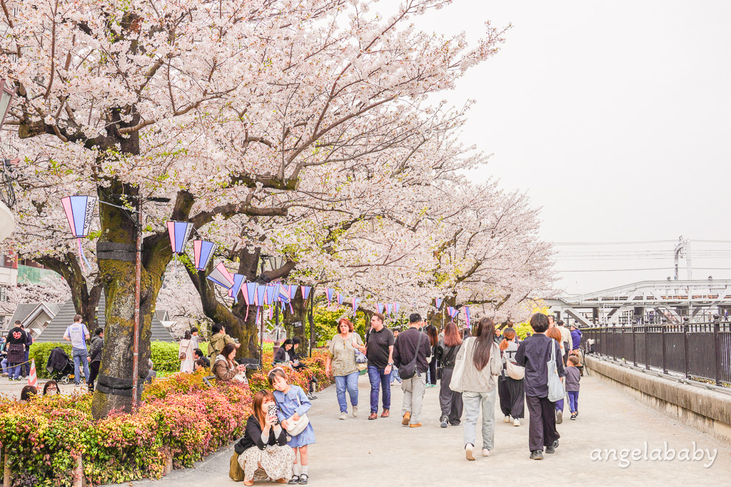 東京賞櫻『隅田公園』地鐵淺草站、隅田公園櫻花祭活動、拍攝晴空塔與櫻花的絕佳視角 @梅格(Angelababy)享樂日記