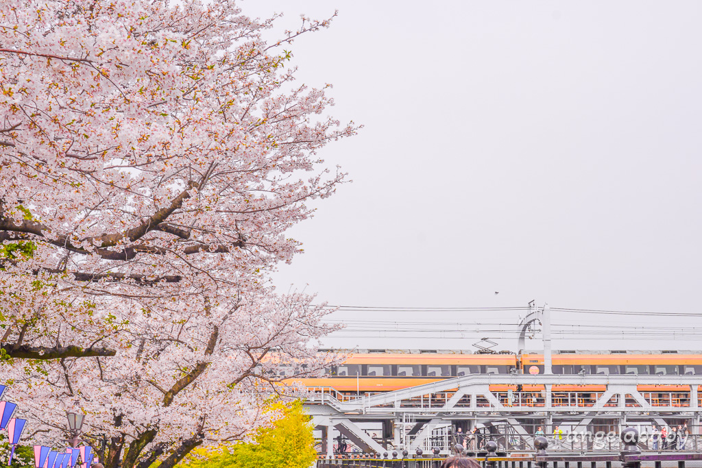 東京賞櫻『隅田公園』地鐵淺草站、隅田公園櫻花祭活動、拍攝晴空塔與櫻花的絕佳視角 @梅格(Angelababy)享樂日記