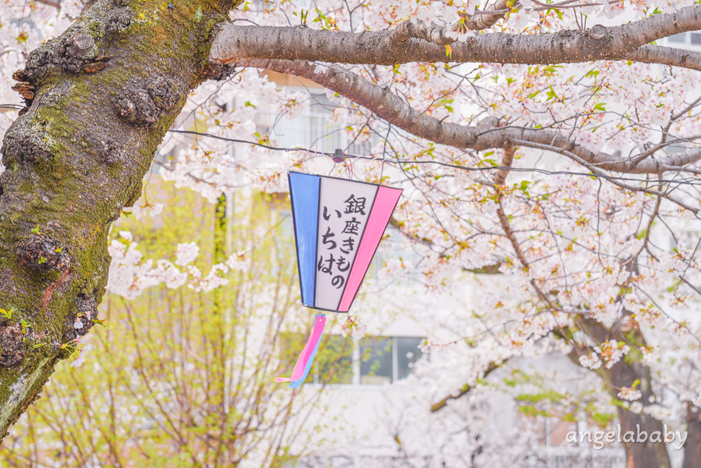 東京賞櫻『隅田公園』地鐵淺草站、隅田公園櫻花祭活動、拍攝晴空塔與櫻花的絕佳視角 @梅格(Angelababy)享樂日記