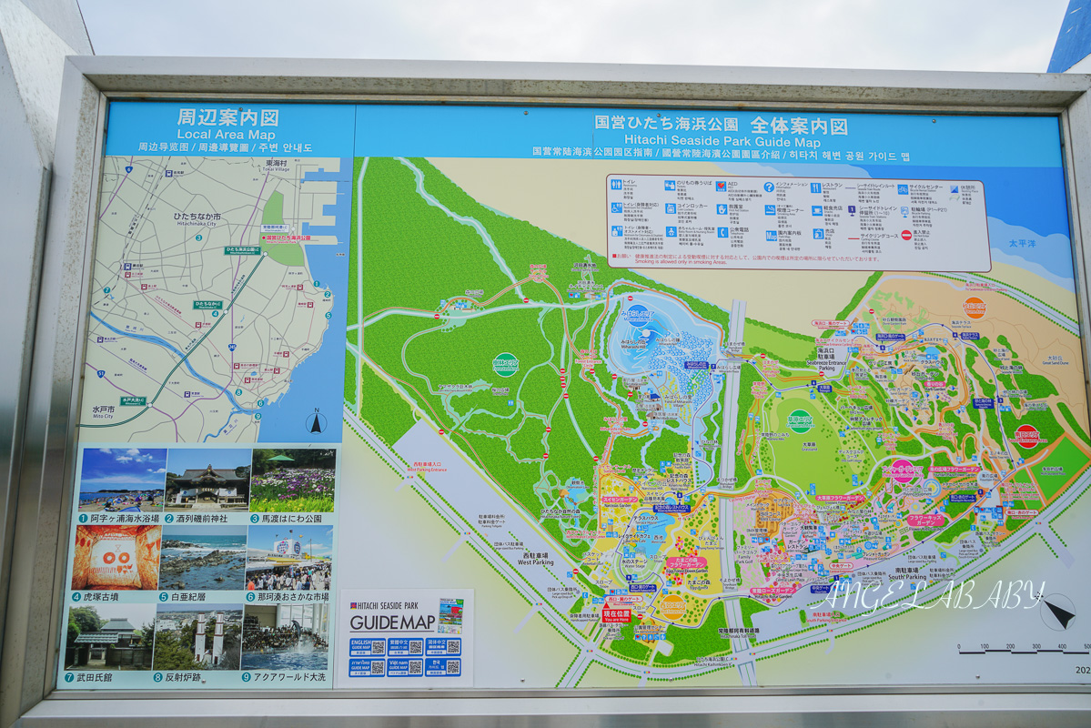 日本春季賞花｜茨城「國營常陸海濱公園」無限延伸的夢幻粉藍地毯 @梅格(Angelababy)享樂日記