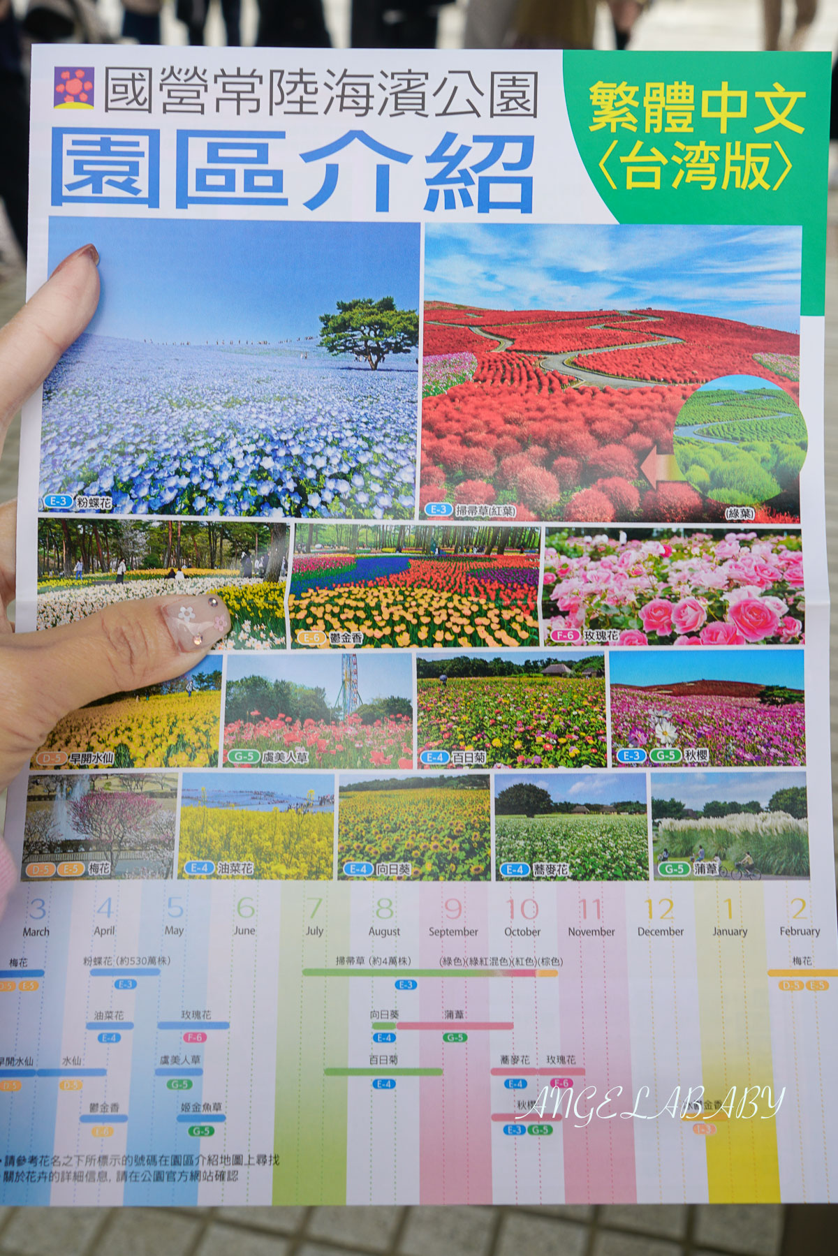 日本春季賞花｜茨城「國營常陸海濱公園」無限延伸的夢幻粉藍地毯 @梅格(Angelababy)享樂日記