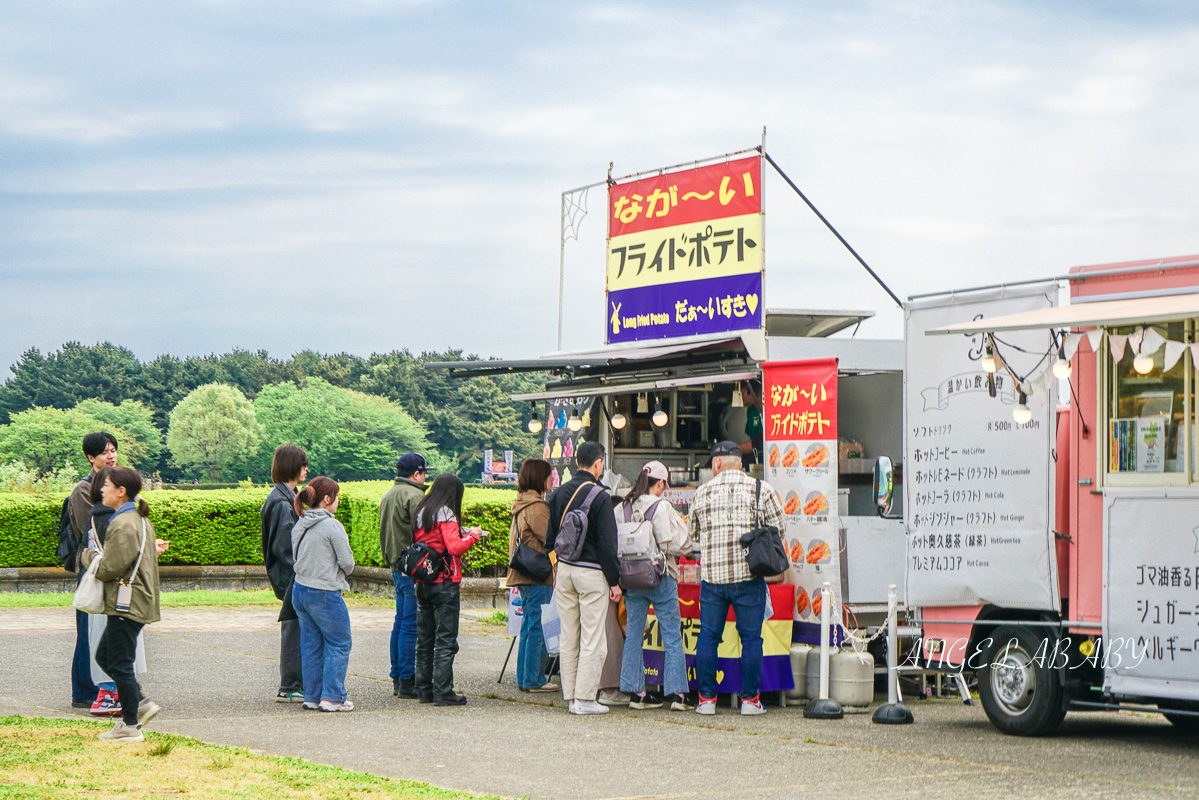 日本春季賞花｜茨城「國營常陸海濱公園」無限延伸的夢幻粉藍地毯 @梅格(Angelababy)享樂日記