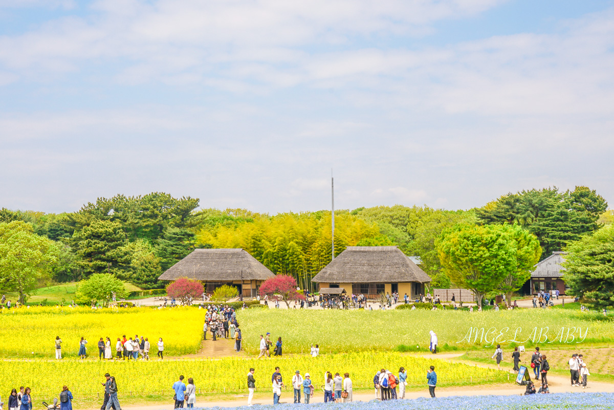 日本春季賞花｜茨城「國營常陸海濱公園」無限延伸的夢幻粉藍地毯 @梅格(Angelababy)享樂日記