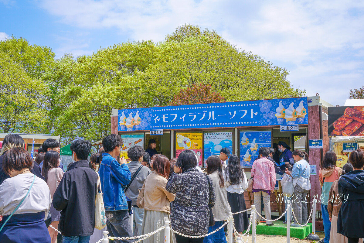 日本春季賞花｜茨城「國營常陸海濱公園」無限延伸的夢幻粉藍地毯 @梅格(Angelababy)享樂日記